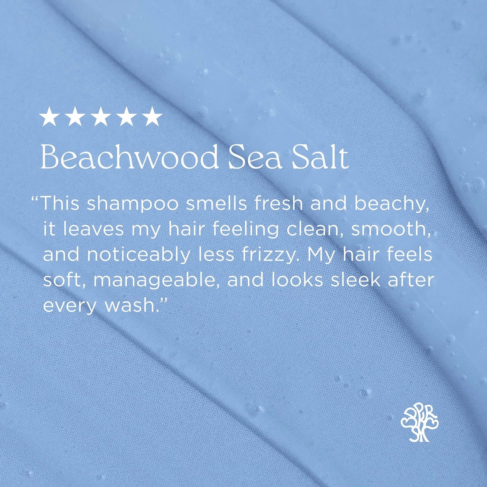 Hairitage Woody Sea Salt Anti-Frizz Shampoo | All Hair 15 Ounce (Pack of 2)